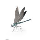 Lladro Dragonfly Figurine 01009427