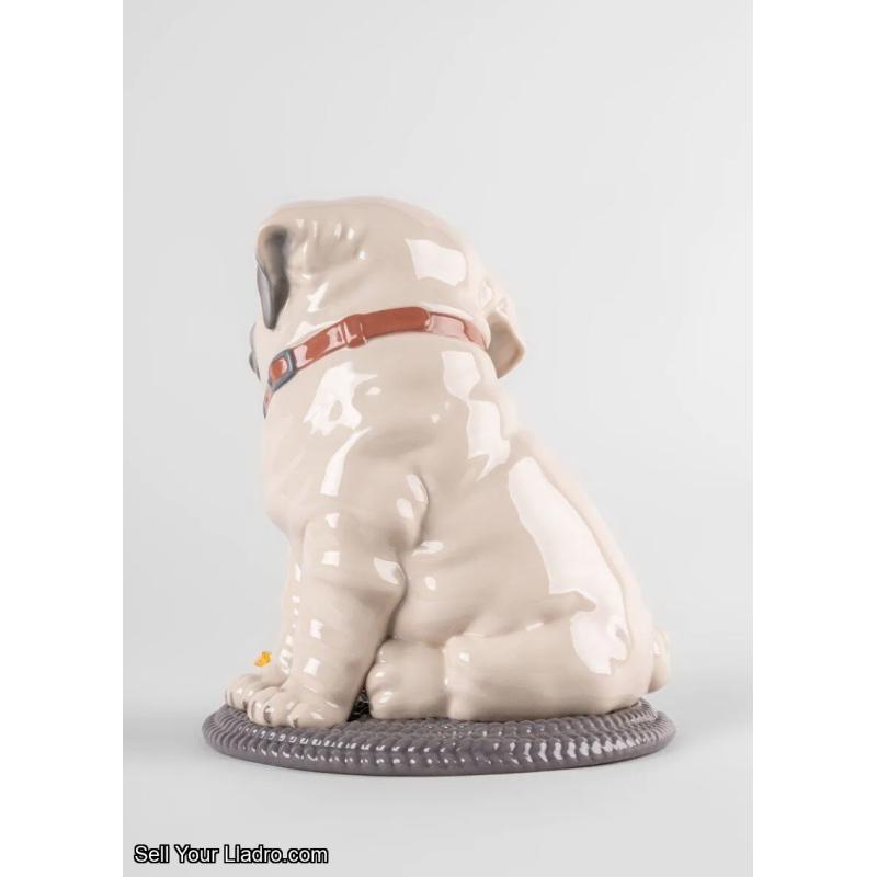 Lladro Puppie Pug Sculpture Lladro 01009689