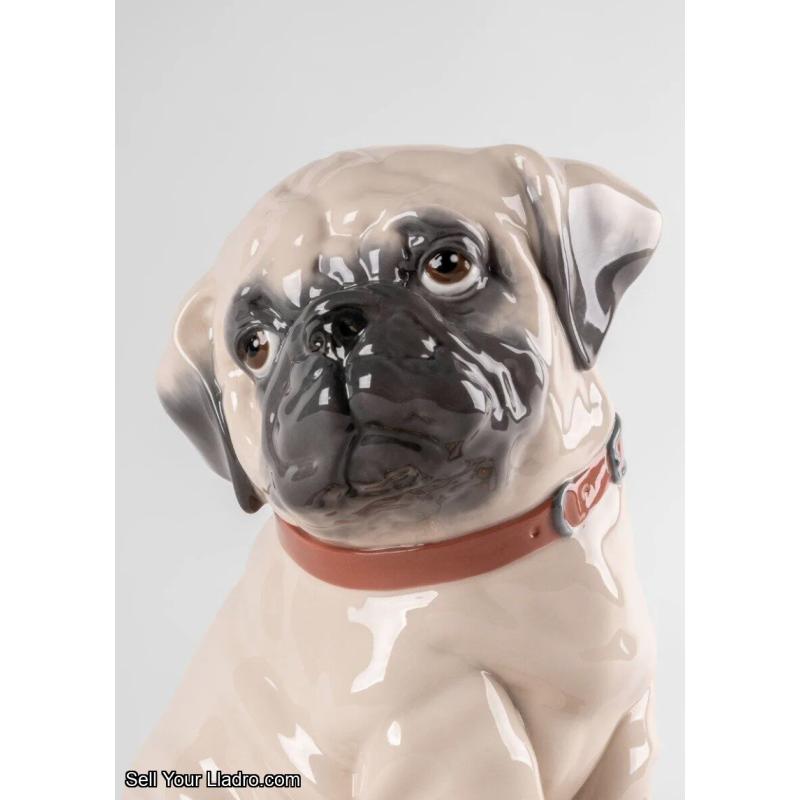 Lladro Puppie Pug Sculpture Lladro 01009689